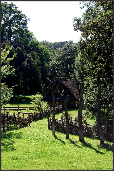 66.jpg