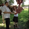 48 Fleisch