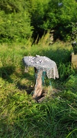 Riesenpilz mit Splittern