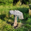 Riesenpilz mit Splittern