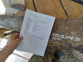 Registrierung Hammerhall